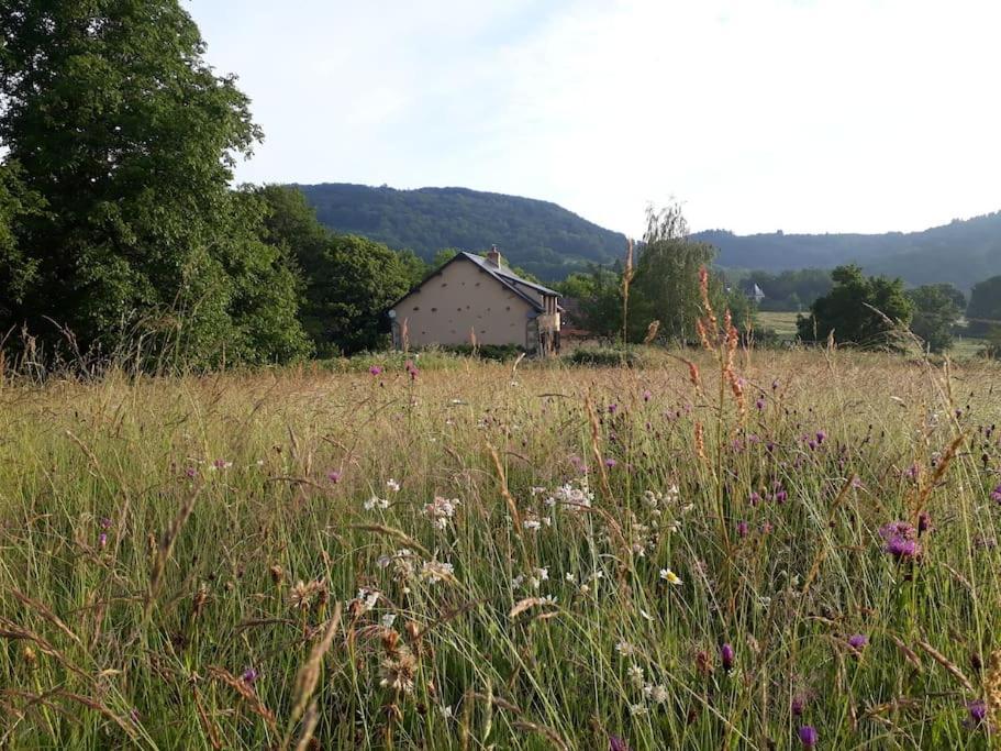 Le Studio Du Crot Noir Cussy-en-Morvan Exteriör bild